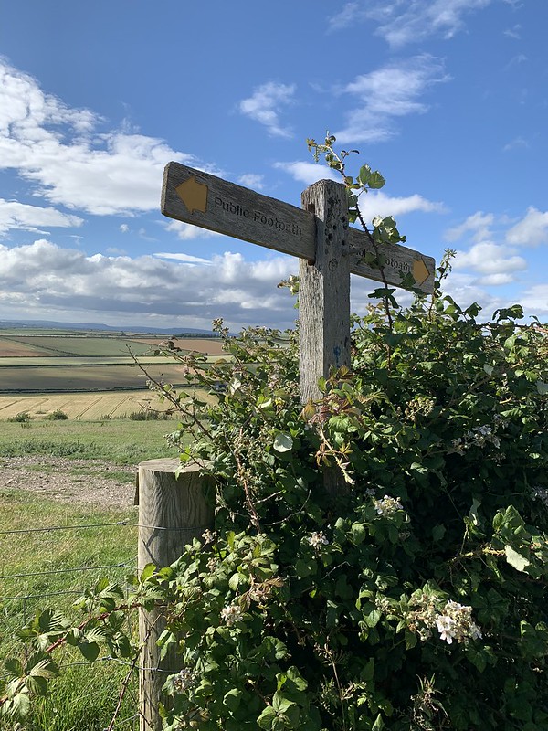 Footpath Signs at the top near Wepham Village