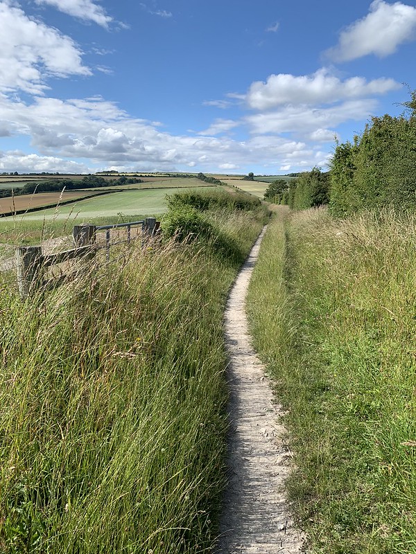 Path towards the Gallops