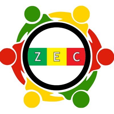 Team Pachedu ZEC analysis